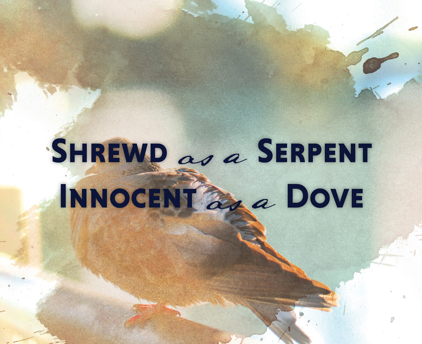 Shrewd As A Serpent Innocent As A Dove Margo Tirado